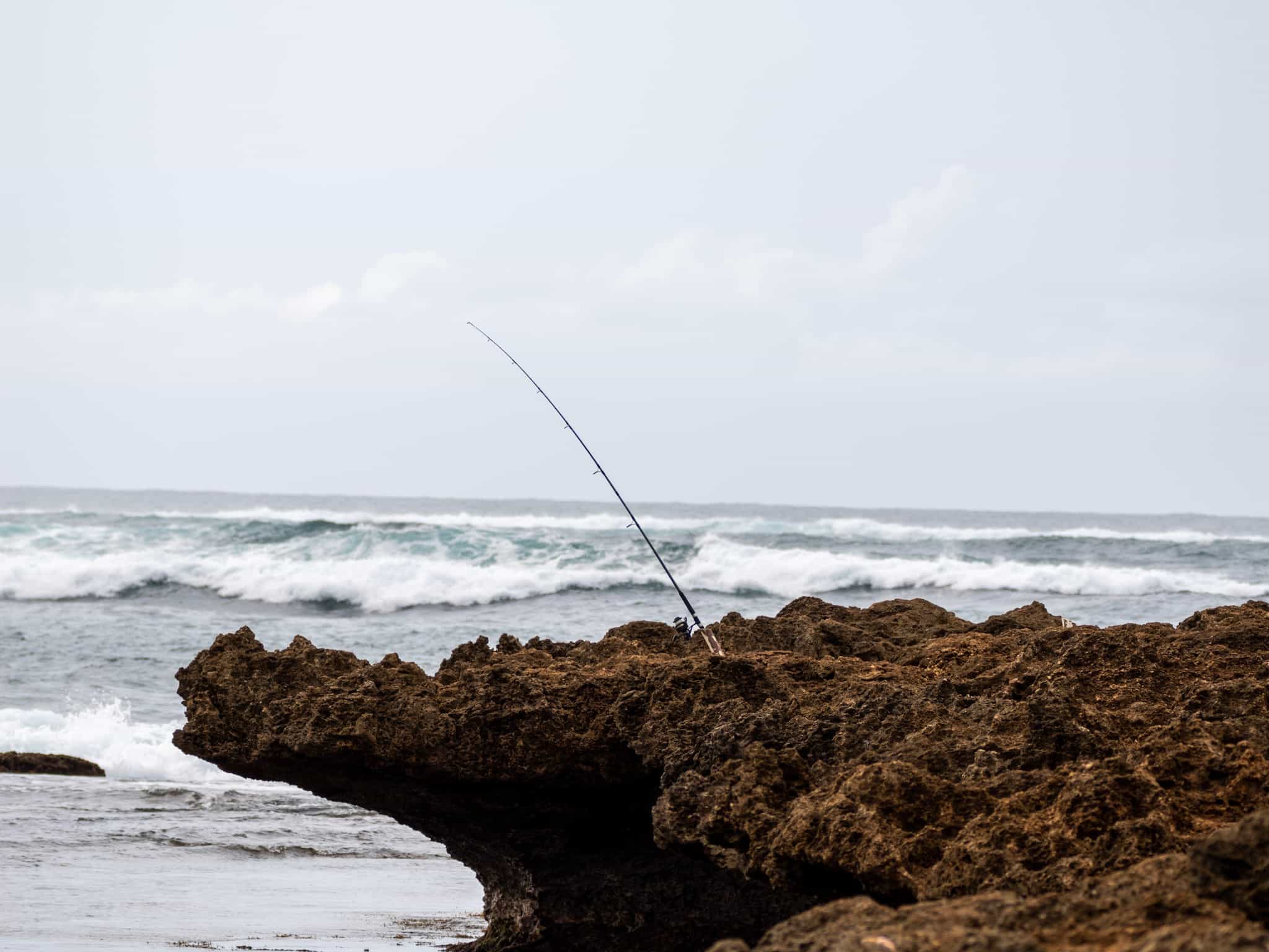 North Shore Fishing